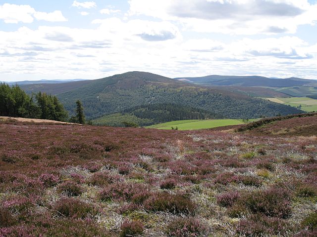 Edinbanchory Hill, Correen Hills